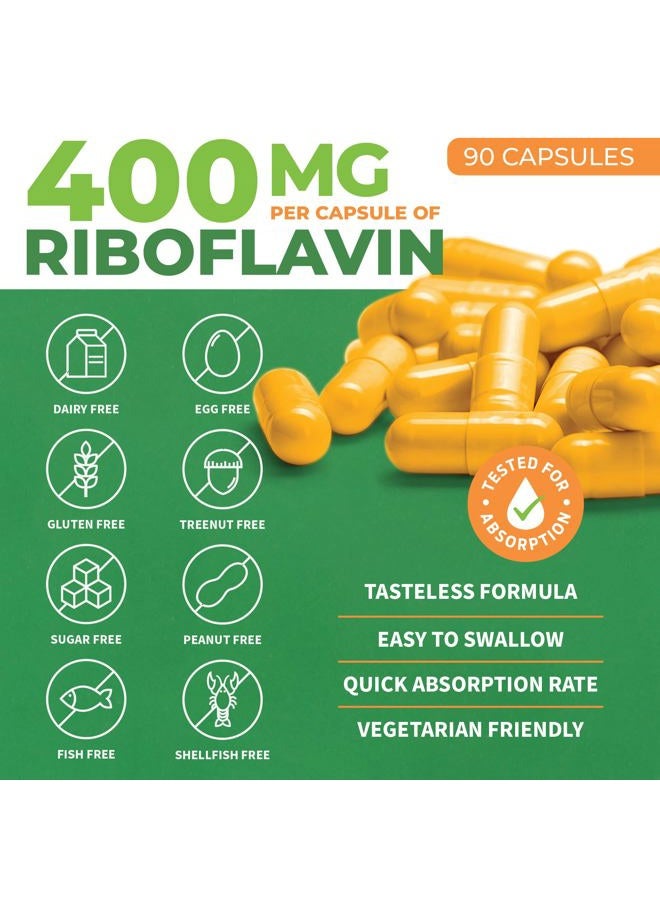 ForestLeaf فيتامين ب2 ريبوفلافين 400 ملغ - مكمل الطاقة وصحة الجلد والخلايا - دعم الجهاز العصبي - فيتامين ب 2 فيت ب - غير معدّل وراثيًا وخالي من الغلوتين - كبسولات نباتية ب2 فيتامين 400 ملغ، 90 حبة - Image 2