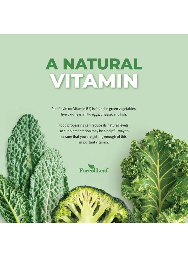 ForestLeaf فيتامين ب2 ريبوفلافين 400 ملغ - مكمل الطاقة وصحة الجلد والخلايا - دعم الجهاز العصبي - فيتامين ب 2 فيت ب - غير معدّل وراثيًا وخالي من الغلوتين - كبسولات نباتية ب2 فيتامين 400 ملغ، 90 حبة - Image 4