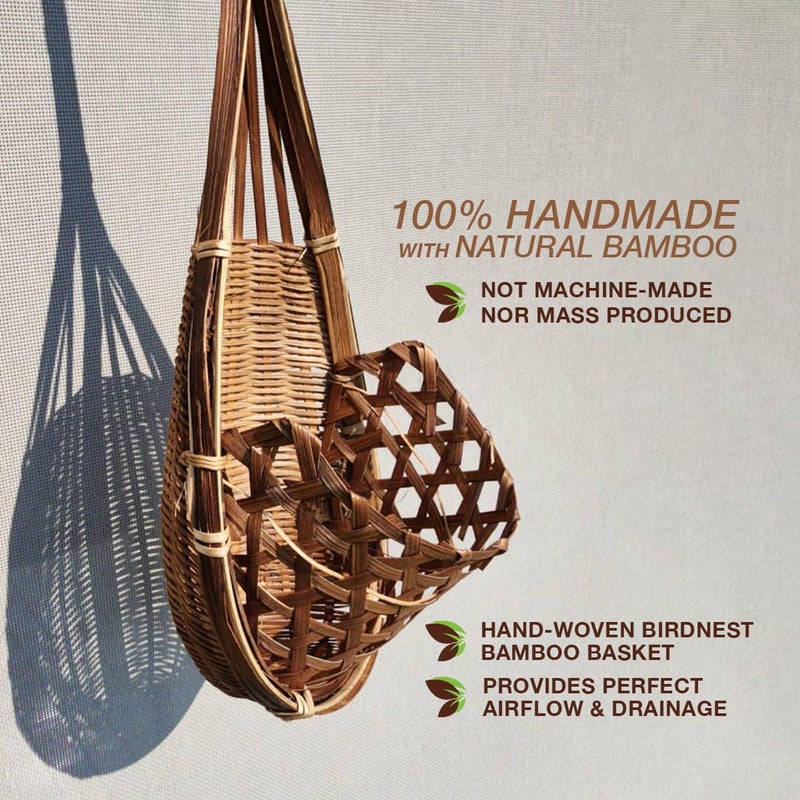 PANWA Handmade 100% Thai Bamboo 6 Inch Signature Super Sanctuary SIAM Orchid Hanging Basket with Nursery Grade Coconut Shell Staves Coir Pith Sponge & Husk Mulch - Image 4