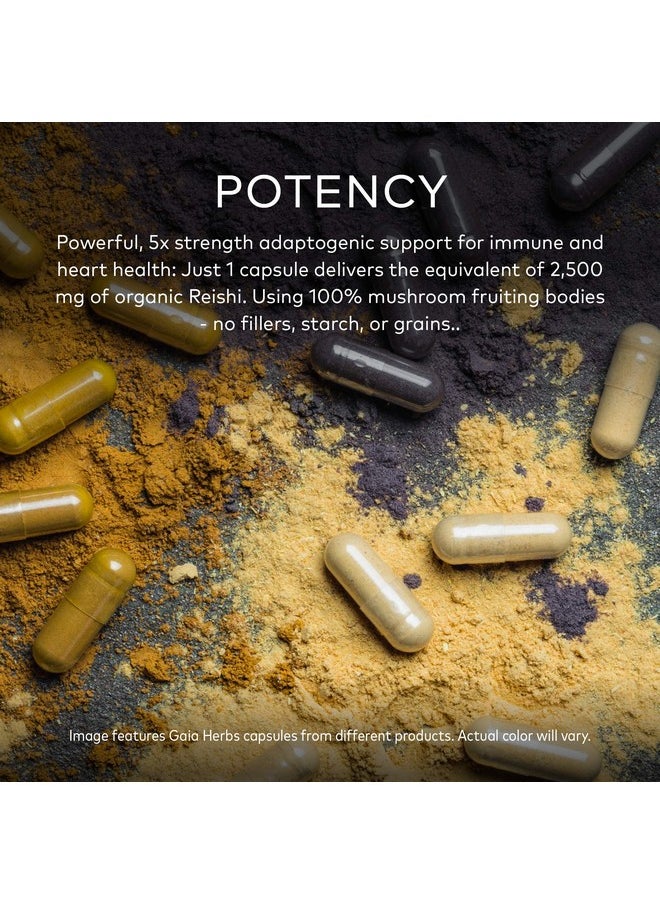 Gaia Herbs Reishi Mushroom Helps Maintain A Healthy Immune System & Supports Heart Health Adaptogen Herbal Supplement For Longevity Support 40 Vegan Liquid Phytocapsules (40Day Supply)  - Image 4