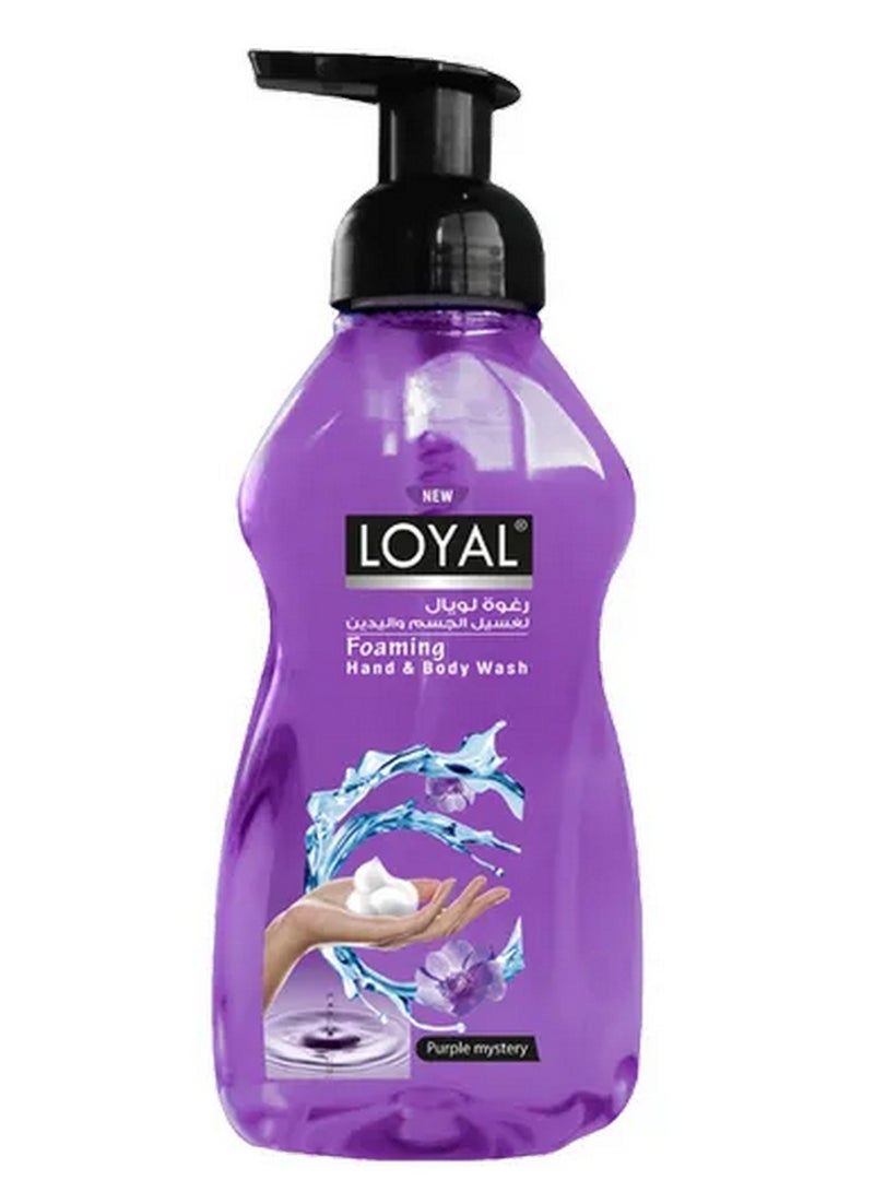 loyal Purple Mystery Scent Foaming Hand Wash 500 ML - Image 1