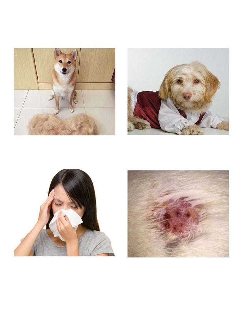 DUNISO Pet Deshedding Brush Double Sided Undercoat Rake for Dogs and Cats Shedding Comb and Dematting Tool for Grooming Extra Wide - Image 5