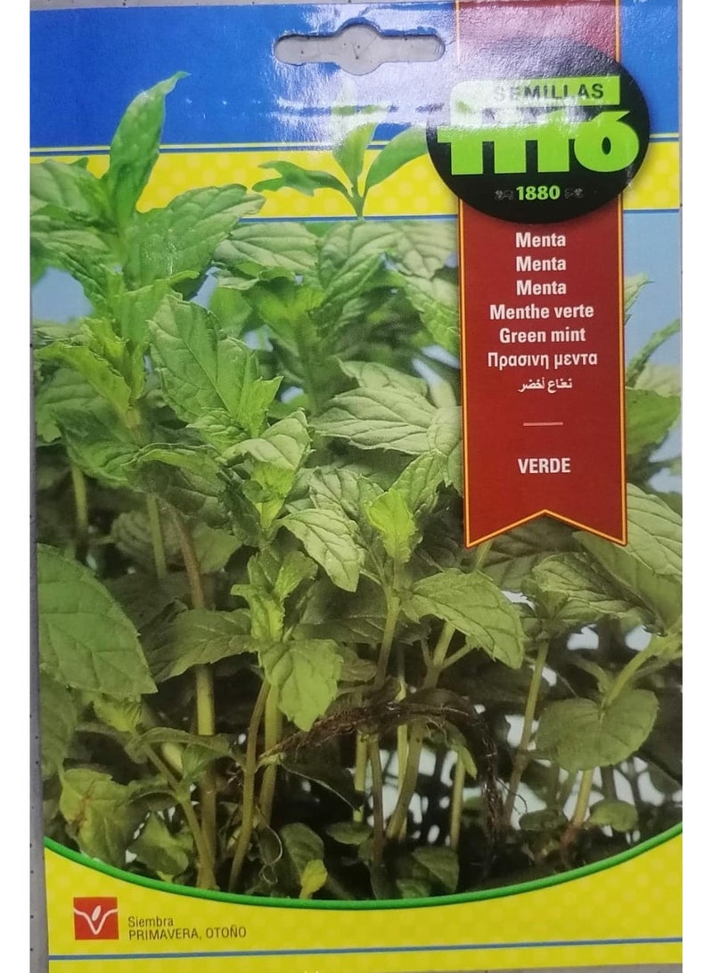 Fito Green Mint Seeds Multicolour - Image 1