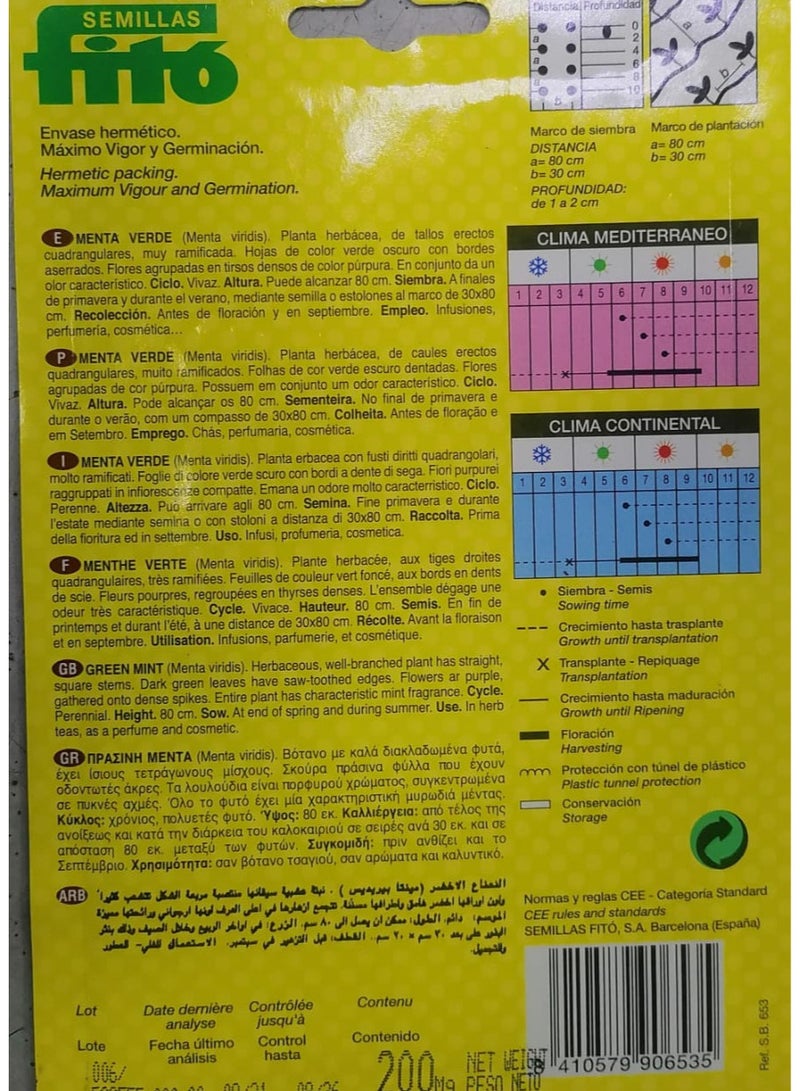 Fito Green Mint Seeds Multicolour - Image 2