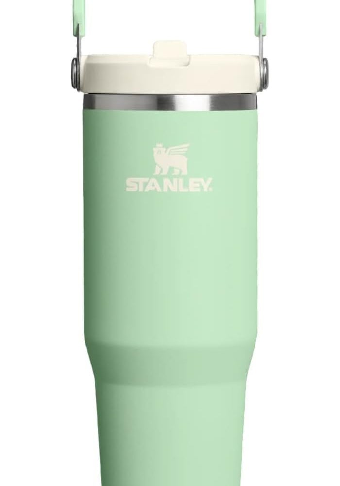 Stanley Ice Flow GO 890ml/30oz Flip Straw Water Bottle - Pistachio - Image 1