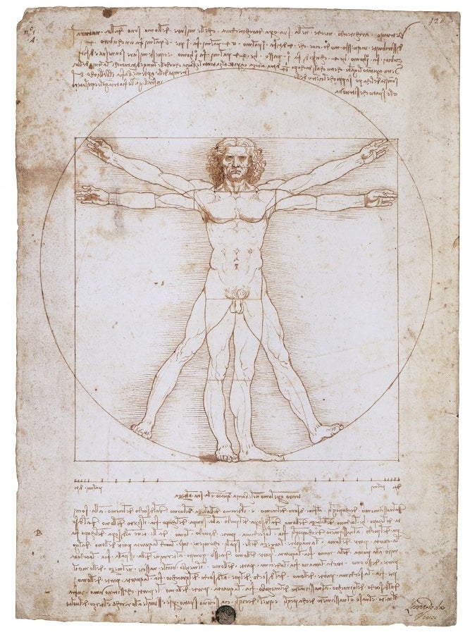 Leonardo  - Image 5