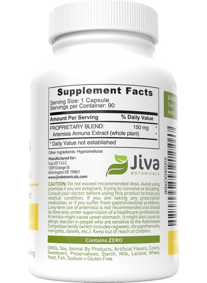 Jiva BOTANICALS - Artemisia Annua Capsules - Sweet Wormwood Capsules - Wormwood Herb Extract From Sweet Wormwood Root - Leverage The Benefits Of Wormwood Plant - 90 Capsules - Image 3