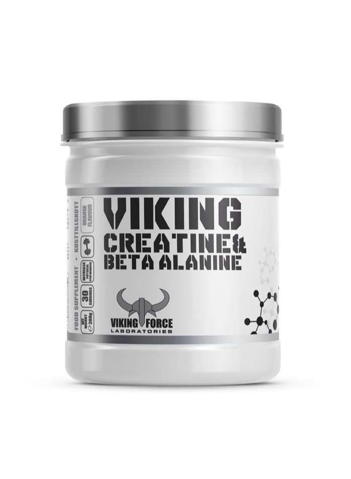 VIKING FORCE LABORATORIES Viking Creatine and Beta Alanine Apple Kiwi Flavour 300g - Image 1