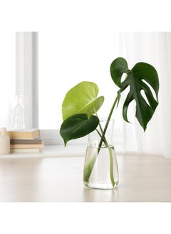 Zaboon Carafe, Clear Glass, 1.0 L  - Image 3