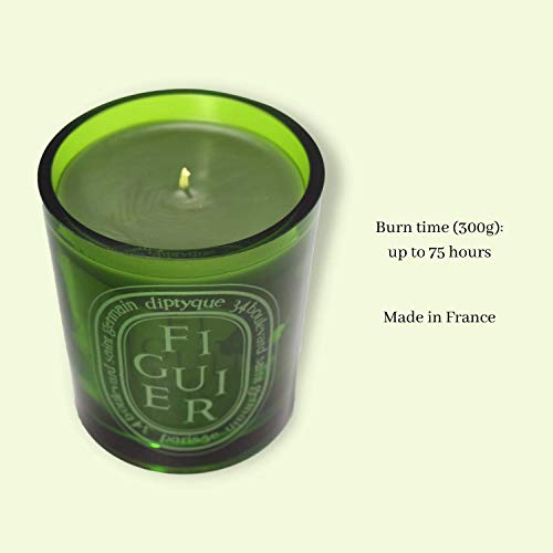 Diptyque Paris Diptyque Green Figuier Candle-10.2 oz, Green - Image 3