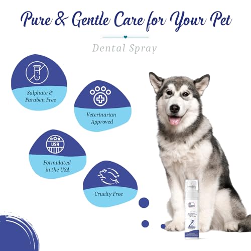 Pet Clean Dental Dog Spray, Dog Mouth Freshener Spray for Fresh Breath & Plaque Free Gums, Suitable for Cats and Other Pets (100 ml, Fresh Mint) - Image 4