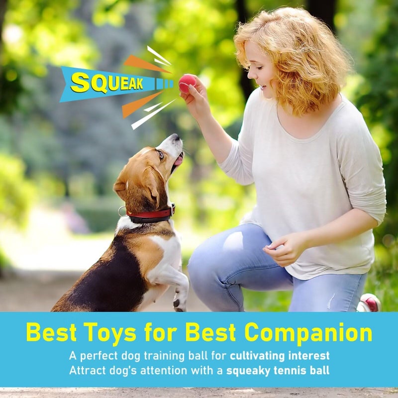 Prime Pets Dog Tennis Balls 4 Pack, 2" Durable High-Bounce Mini Tennis Balls for Dogs, Squeaky Dog Ball for Fetch & Training, Outdoor Interactive Dog Toy Ball for Small Dogs Puppy Puppies - Image 2