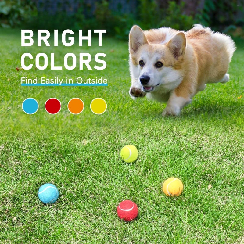 Prime Pets Dog Tennis Balls 4 Pack, 2" Durable High-Bounce Mini Tennis Balls for Dogs, Squeaky Dog Ball for Fetch & Training, Outdoor Interactive Dog Toy Ball for Small Dogs Puppy Puppies - Image 4