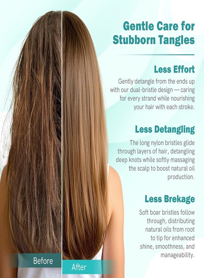 STYLEMATE Curved Detangler Brush for Women Kid Men, 2 Pack Boar Bristle Vented Hair Brush Set with Clips for Fine Thick Hair Smoothing, Detangling, Faster Blow Drying - Image 3