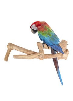 CHEWY BEAK Parrot tree branch perch made of solid java wood for macaw parrots and big birds  - Image 1