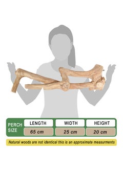 CHEWY BEAK Parrot tree branch perch made of solid java wood for macaw parrots and big birds  - Image 2