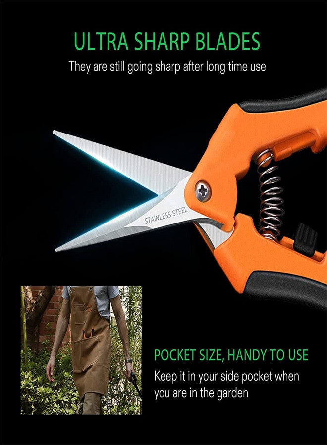 SYOSI 2 Pack Professional Pruning Shears, Gardening Trimming Scissors Straight Tip, Fruit Scissors Branch Clipper Stainless Steel Pointed Blades with Locking Comfort Grip Handles - Image 2
