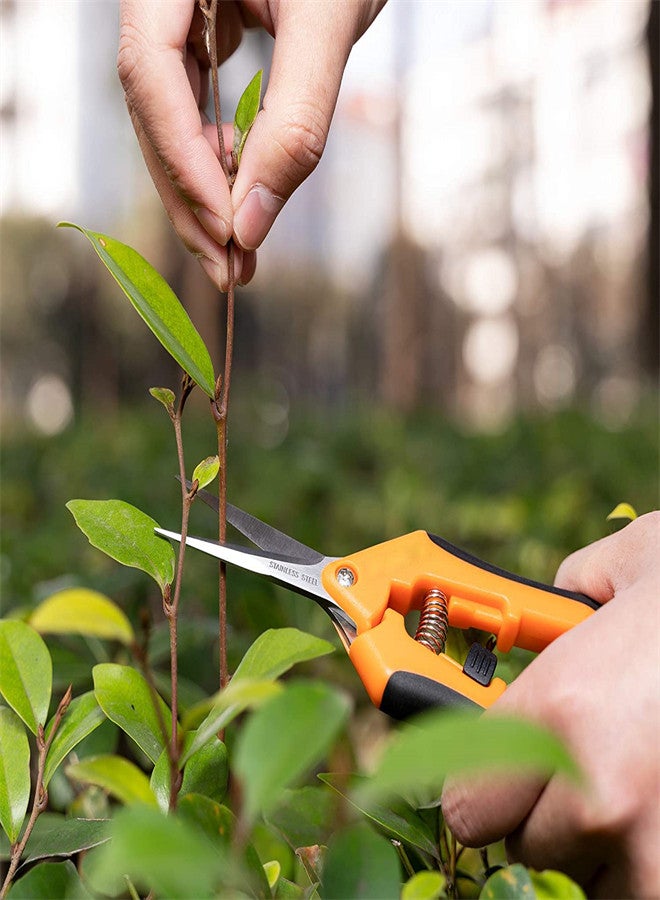 SYOSI 2 Pack Professional Pruning Shears, Gardening Trimming Scissors Straight Tip, Fruit Scissors Branch Clipper Stainless Steel Pointed Blades with Locking Comfort Grip Handles - Image 4