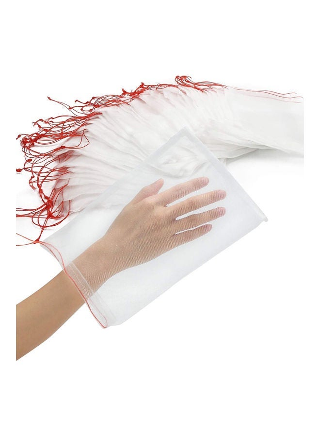 NIBEMINENT 100-Piece Netting Garden Fruit Barrier Cover Bag Clear/Red 15×10mm - Image 1