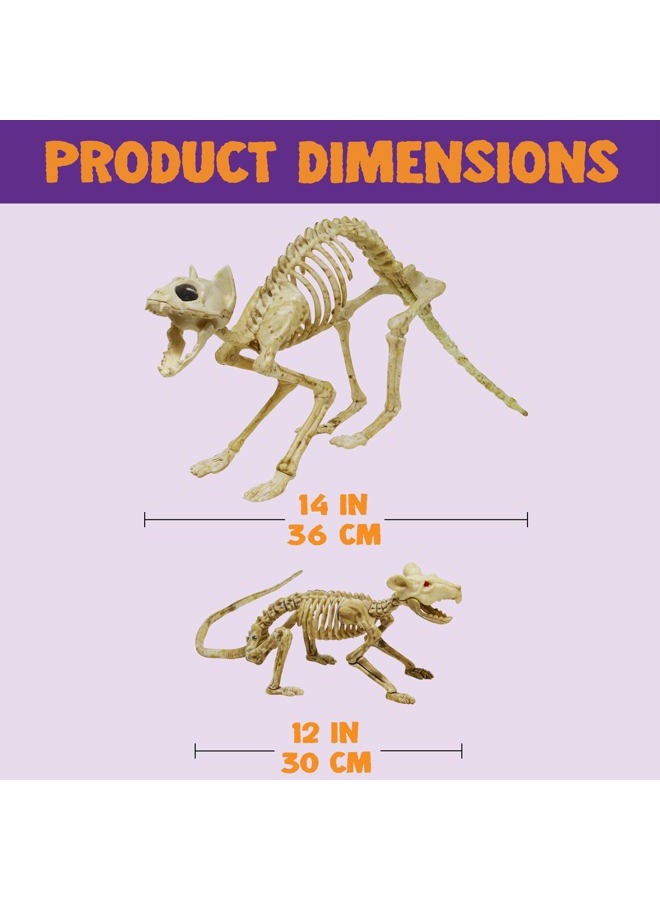 Mekbok Skeleton Cat and Rat Skeleton for Halloween Decorations, Skeleton Animal Yard Decor and Reaper Bones Animals - Image 5