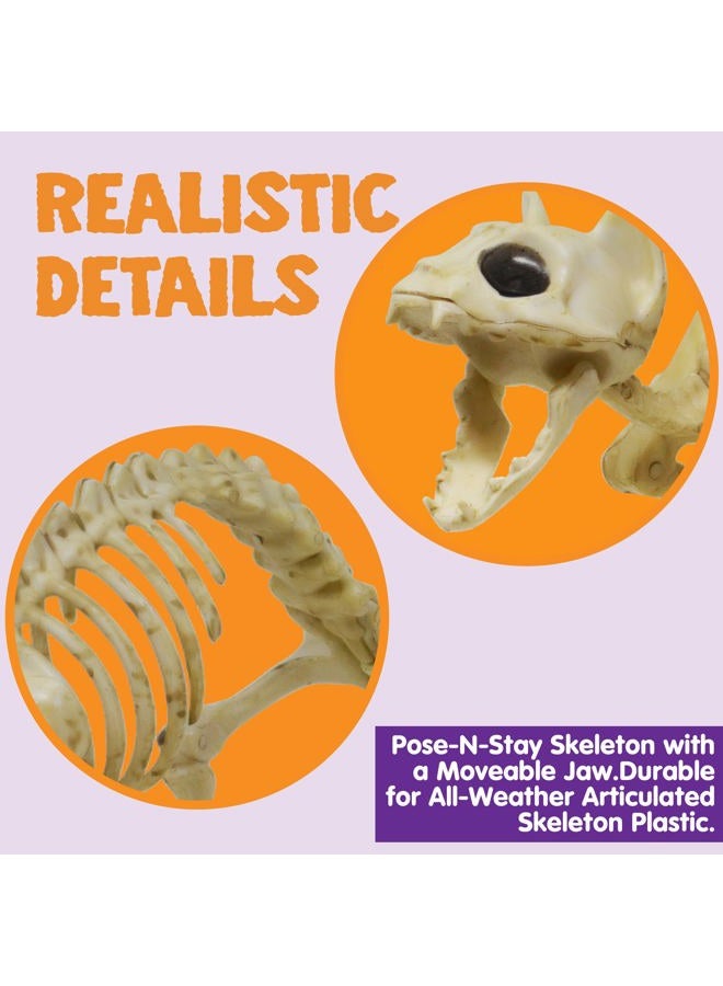 Mekbok Skeleton Cat and Rat Skeleton for Halloween Decorations, Skeleton Animal Yard Decor and Reaper Bones Animals - Image 3
