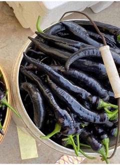 GGOOT 150pcs Pepper Seeds Pure Natural Super Vegetable Seed Non-GMO Vegetables Seeds Flower Seeds Fruit Seeds  - Image 3