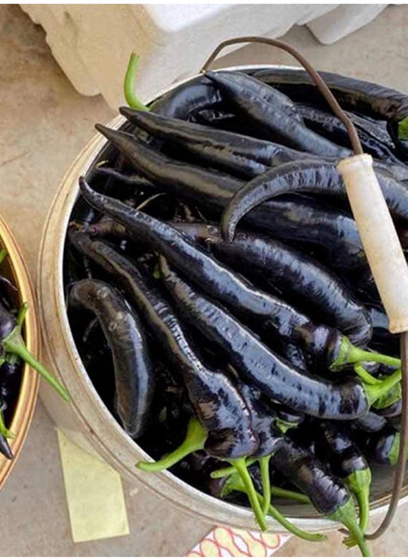 GGOOT 150pcs Pepper Seeds Pure Natural Super Vegetable Seed Non-GMO Vegetables Seeds Flower Seeds Fruit Seeds  - Image 3