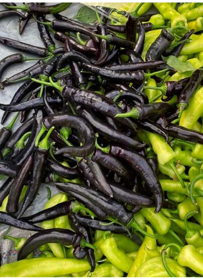 GGOOT 150pcs Pepper Seeds Pure Natural Super Vegetable Seed Non-GMO Vegetables Seeds Flower Seeds Fruit Seeds  - Image 4