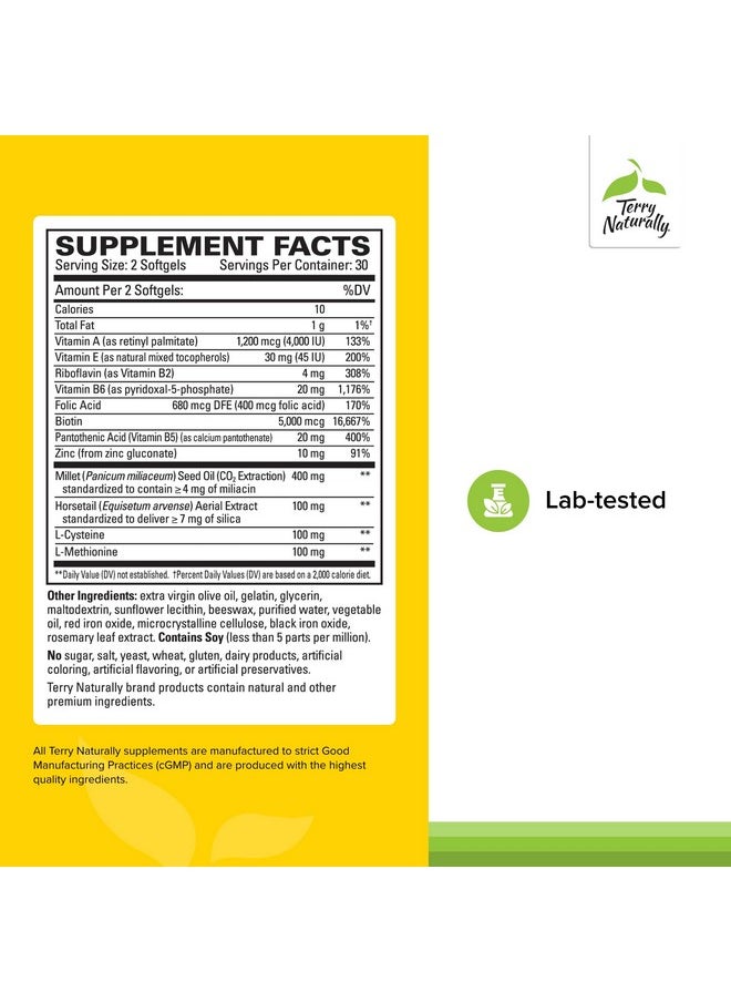 Terry Naturally - Terry Naturally Hair Renew Formula - Hair Growth Support Supplement with Horsetail Biotin & Folic Acid - Millet Seed Oil for Keratin Production Support - 60 Softgels - Image 1