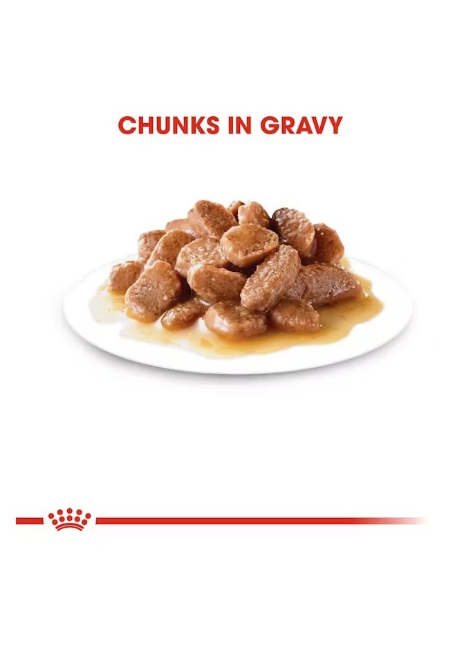 رويال كانين للعناية بالقطط، مرق الشعر والبشرة (طعام رطب - أكياس) 12 × 85 جم - Image 2