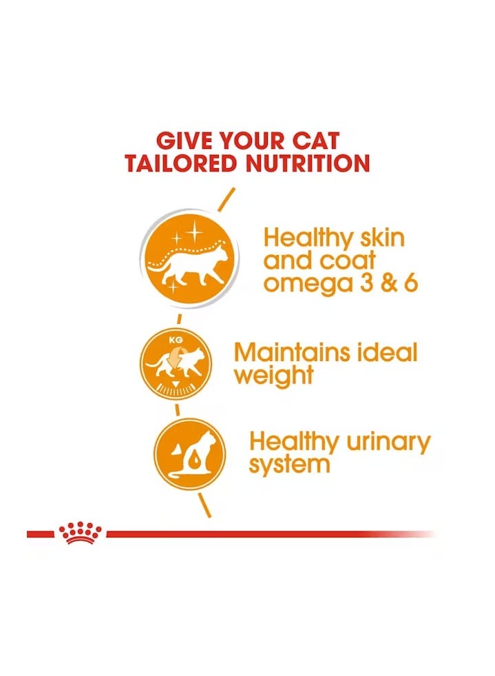 رويال كانين للعناية بالقطط، مرق الشعر والبشرة (طعام رطب - أكياس) 12 × 85 جم - Image 5