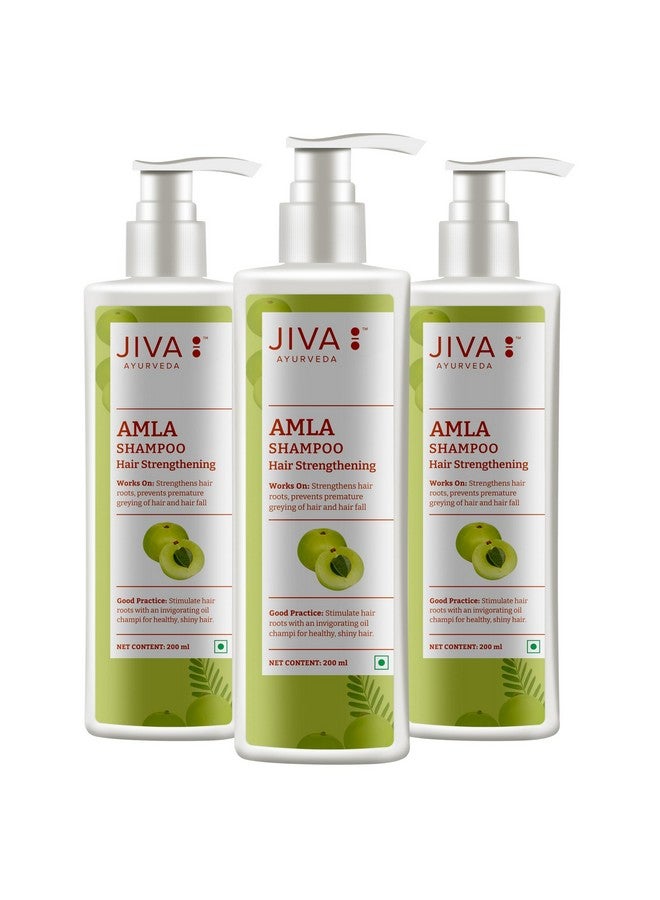 Jiva Amla Shampoo 200ml | 100% Pure & Natural | Cleanses Scalp & Strengthens Hair | Prevents Hair Fall, Dandruff, & Premature Graying | Balances Pitta Dosha (Pack of 3) - Image 1