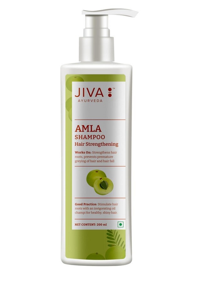 Jiva Amla Shampoo 200ml | 100% Pure & Natural | Cleanses Scalp & Strengthens Hair | Prevents Hair Fall, Dandruff, & Premature Graying | Balances Pitta Dosha (Pack of 3) - Image 2