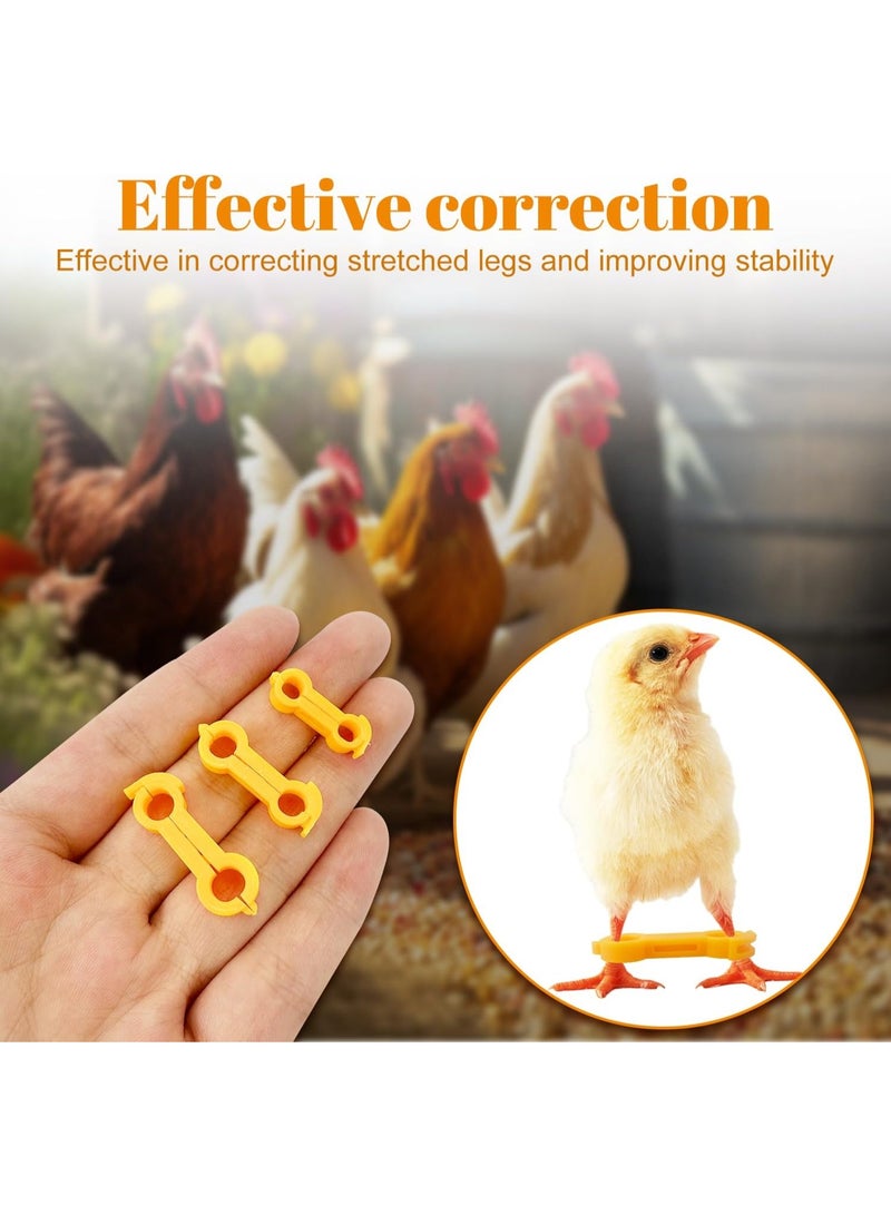مجموعة من 20 رباطًا لتصحيح أرجل الكتاكيت، دعامة لعلاج تباعد الأرجل والعرج مع دعامة مباعدة، مناسبة للكتاكيت والسمان والبط - Image 3