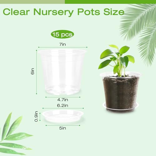 FUOAUYK 7 Inch Clear Nursery Pots with Drainage Trays, 15 Pack Plastic Pots for Plants, Clear Pot for Seed Starting, Transplanting, Succulents, and Indoor Gardening (7 inch) - Image 2