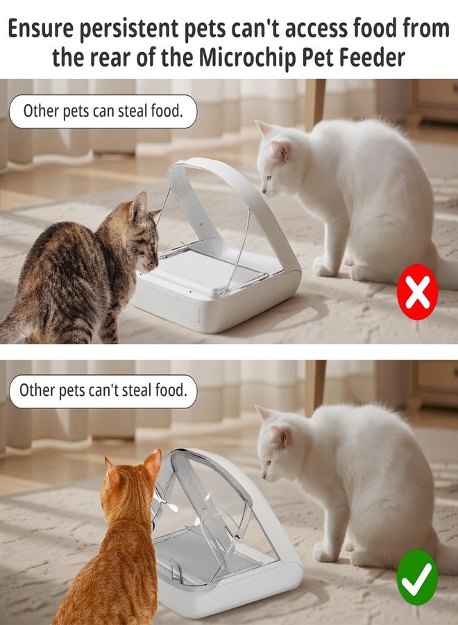 Baofum Rear Cover for Automatic Microchip Cat Pet Feeder - Prevents Persistent Pet from Getting Food from The Back of The Feeder - Image 2