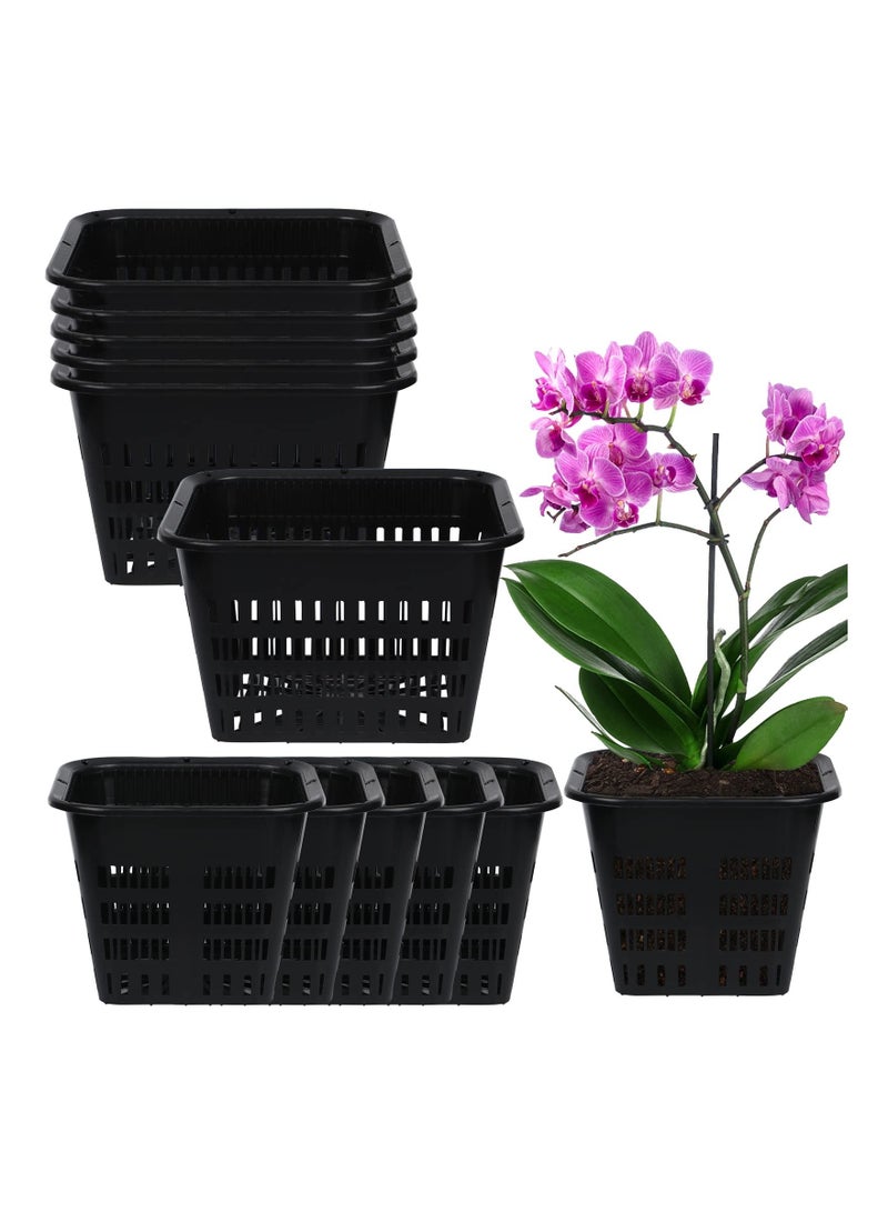 SYOSI 12 Pcs Black Orchid Pot Set Orchid Breathable Slotted Plastic Plant Pot with Drainage Hole Air Plant Pot Orchid Flower Pot - Image 1