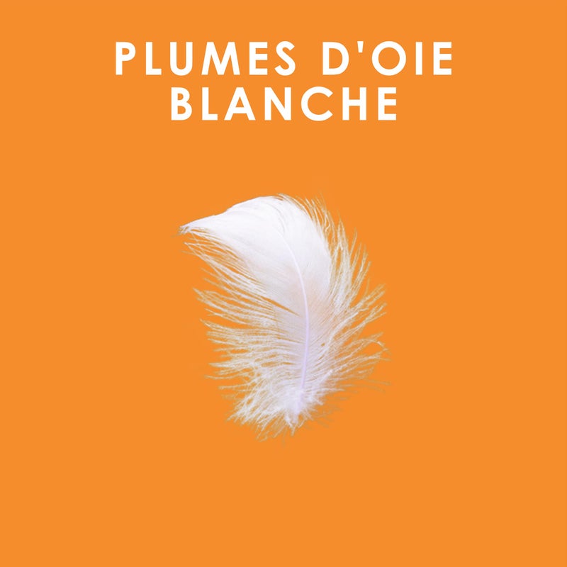 Canadian Down & Feather Company شركة الكنديين للريش والريش - لحاف دافئ من ريش الإوز الأبيض لجميع الفصول بحجم توأم - 233 عدد الخيوط قماش 100% قطن - معتمد من Oeko TEX - Image 4