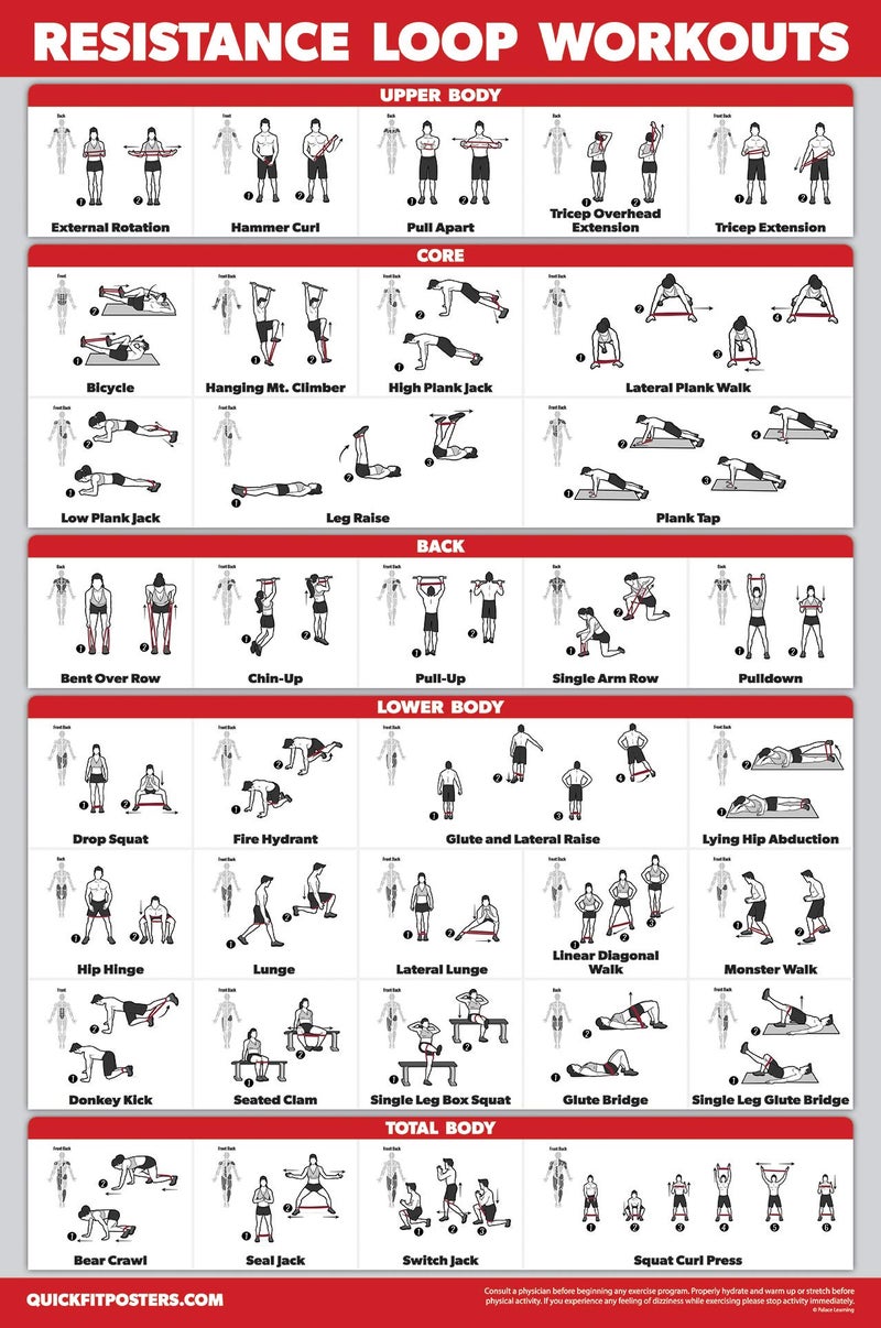 Palace Learning QUICKFIT Resistance Loop Bands Workout Poster  LAMINATED  Exercise Chart for Resistance Band Loops  18 x 24