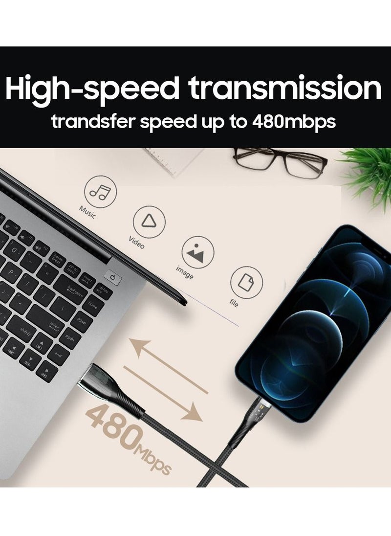 Trands - Trands Glassy Series Lightning USB Cable - Image 1