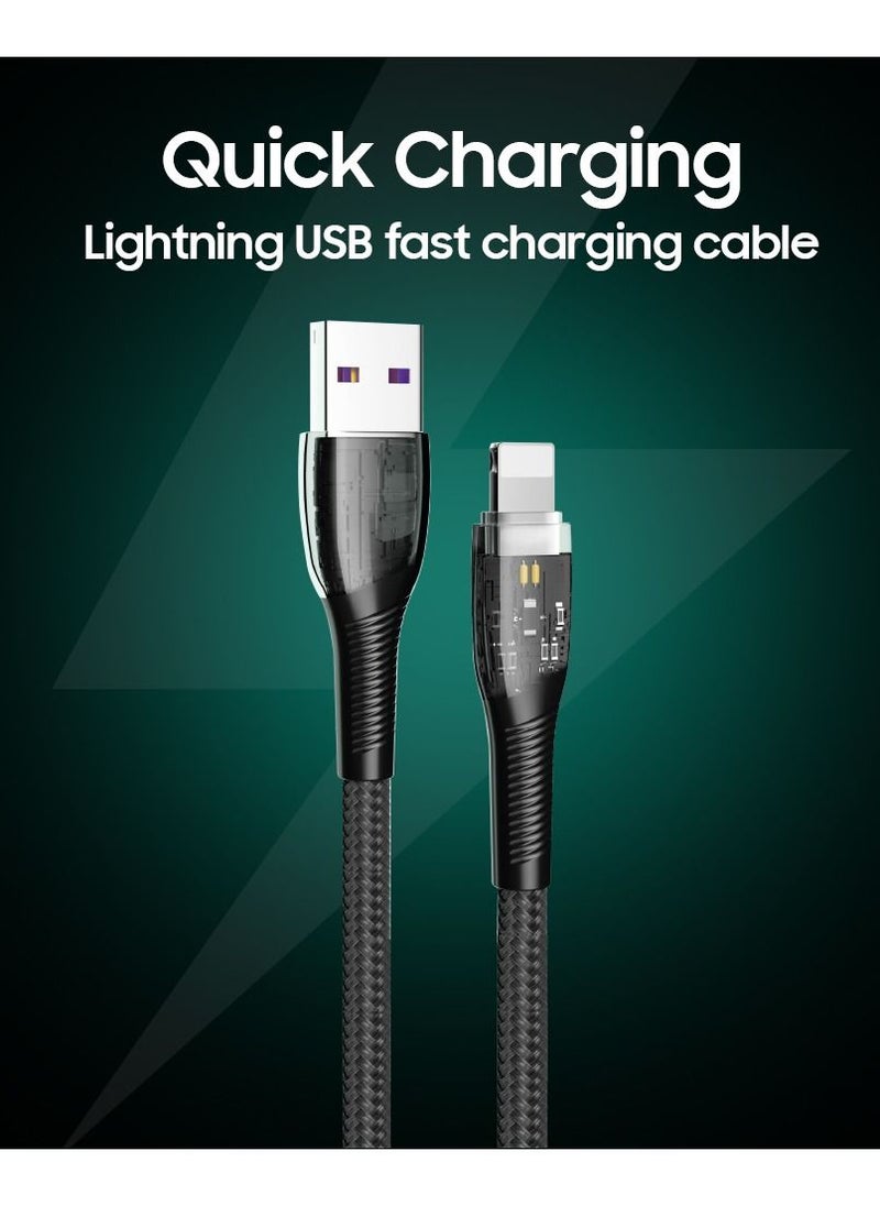 Trands - Trands Glassy Series Lightning USB Cable - Image 1