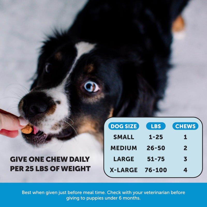 Pet Honesty Skin Health Salmon Chews - Itch Relief for Dogs, Omega 3 Fish Oil for Dogs, Natural Salmon Oil for Dog Chews for Healthy Skin & Coat, May Reduce Shedding, Dog Fish Oil Supplements - 90 Ct - Image 4