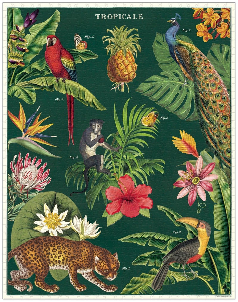CAVANILLI & CO. Cavallini 1000 Piece Puzzle, Tropicale (PZL/TROP) - Image 2