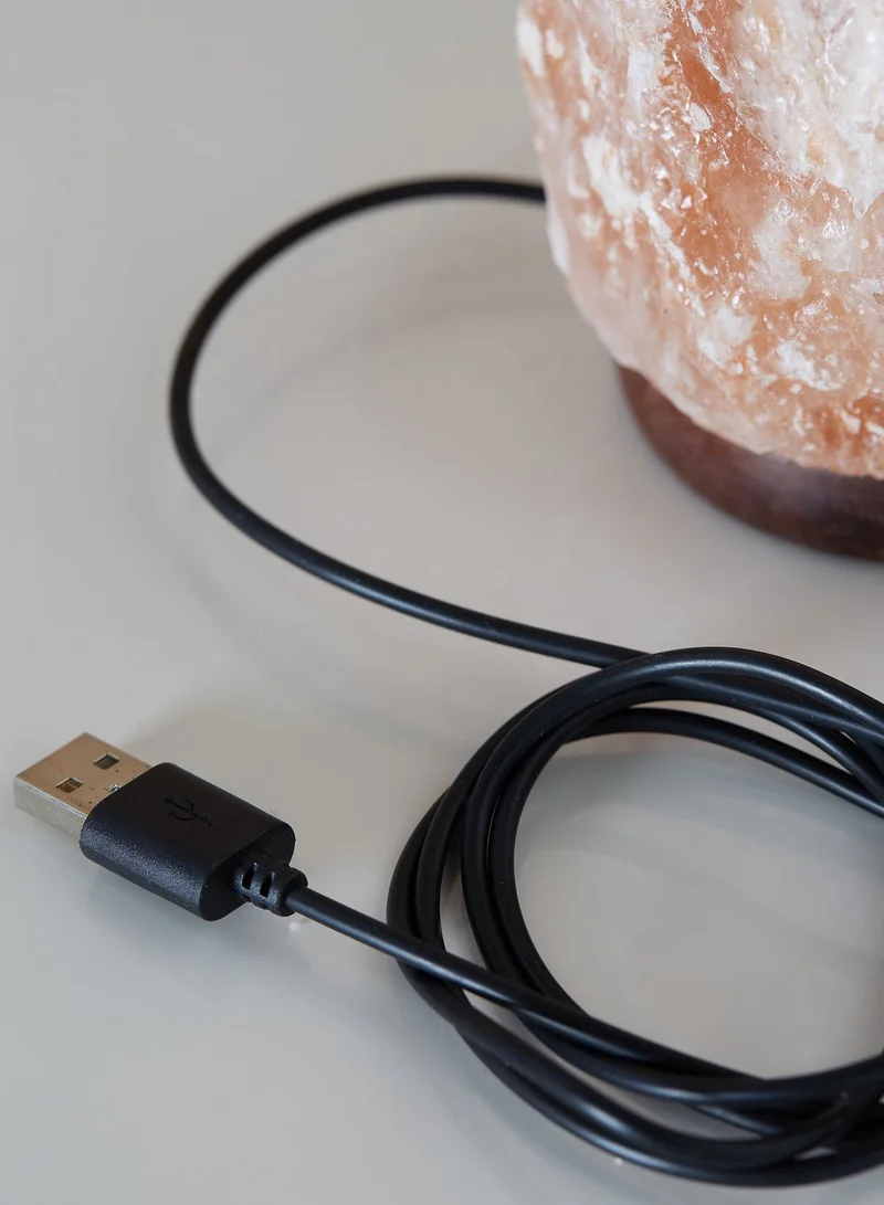 بينك كاكتوس مصباح من املاح الهيمالايا بمنفذ كيبل USB