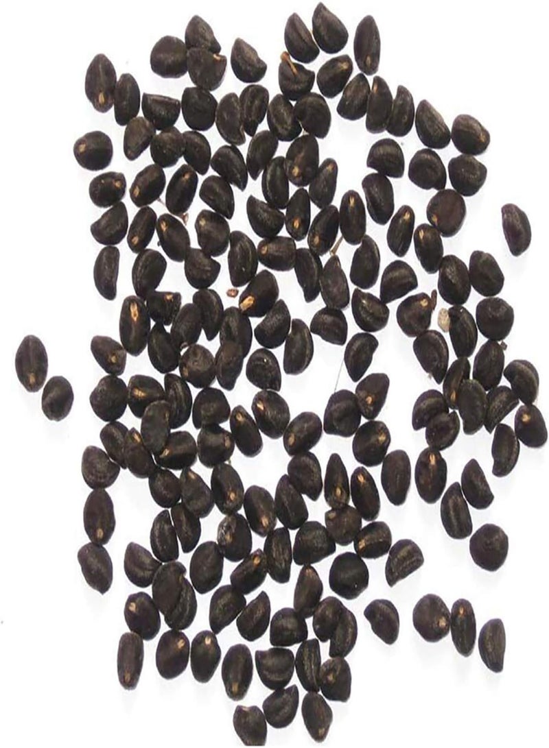 GGOOT 100Pcs/Bag Moonflower Seeds for Planting, Fast-Growing Fragrant White Night Glory Flower Seeds for Garden Easy to Plant,Gardening,Home Decor - Moonflower Seeds - Image 5