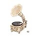 ROKR 3D Wooden Puzzles Gramophone for Adults DIY Mechanical Model Kit 11 Replica Record Player Support 710 Vinyl Building Gift Hobbies for Adults Home Decor - Image 2