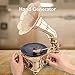 ROKR 3D Wooden Puzzles Gramophone for Adults DIY Mechanical Model Kit 11 Replica Record Player Support 710 Vinyl Building Gift Hobbies for Adults Home Decor - Image 4