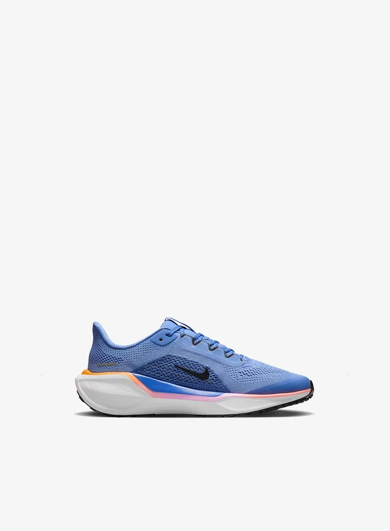 Nike Nike Pegasus 41