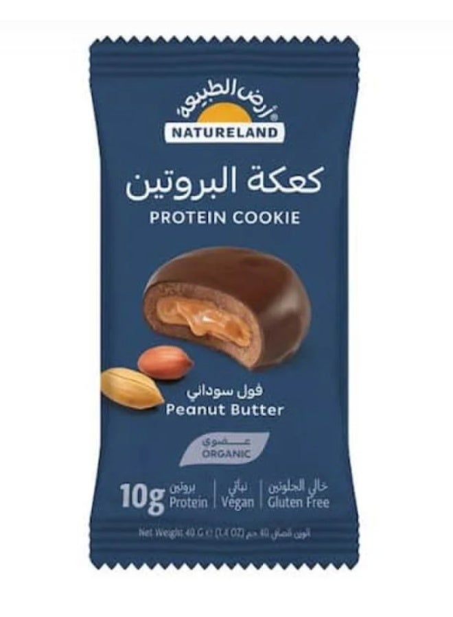 بروتين كوكي - زبدة الفول السوداني 40g