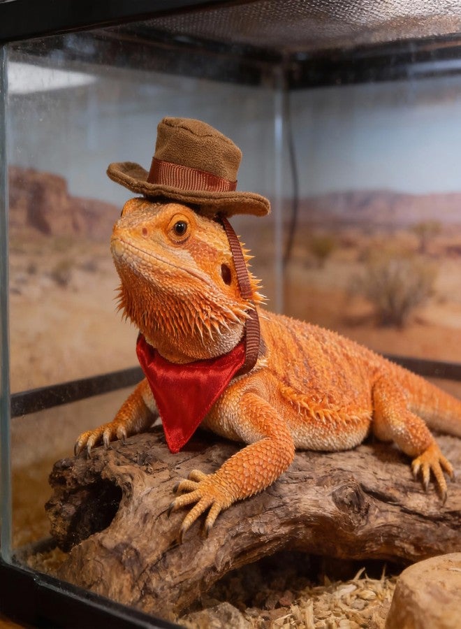 Yolev 2Pcs Bearded Dragon Hat and Bandana Set Adjustable Lizard Cowboy Hat and Red Bandana Scarf Bearded Dragon Outfits Halloween Costume Photo Props for Small Animal Reptile Lizard Gecko Outfits (Brown) - Image 4